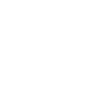 rigid sportswear icon